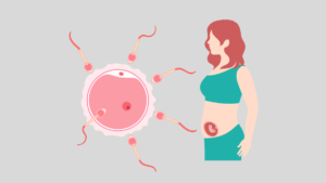 2 weeks pregnant