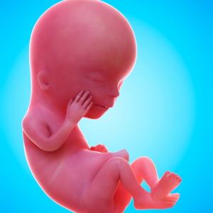 4 Weeks Pregnant