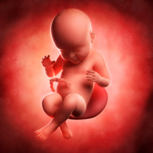6 weeks pregnant