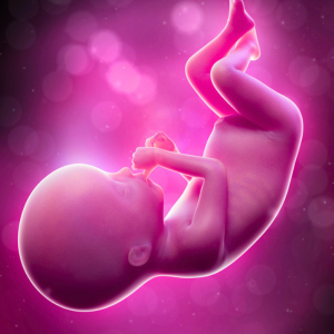 8 Weeks Pregnant