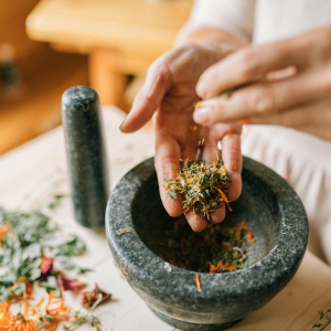 Herbs for Fertility