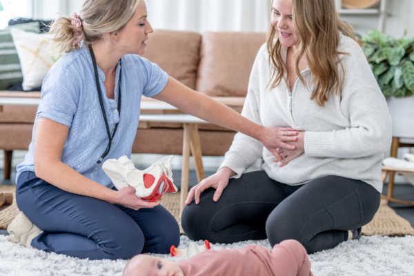 Postpartum Doula