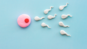 110+ Best Sperm Count Increase Food That Boost Male Fertility Naturally Sperm Count Increase Food